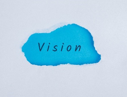 Vision